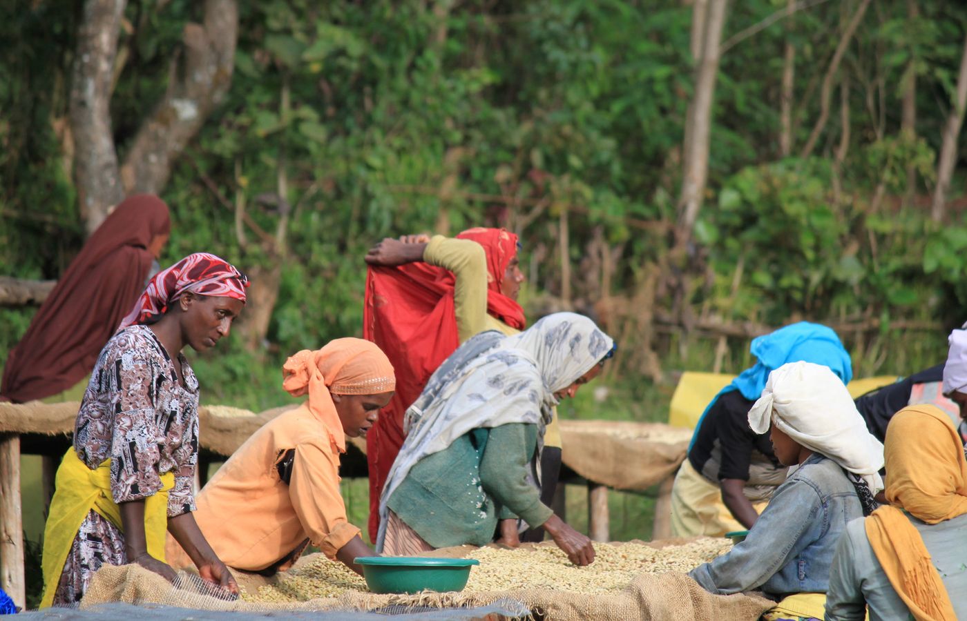 New $10 Million Fund Helps East African Agribusinesses Grow Without Heavy Bank Collateral