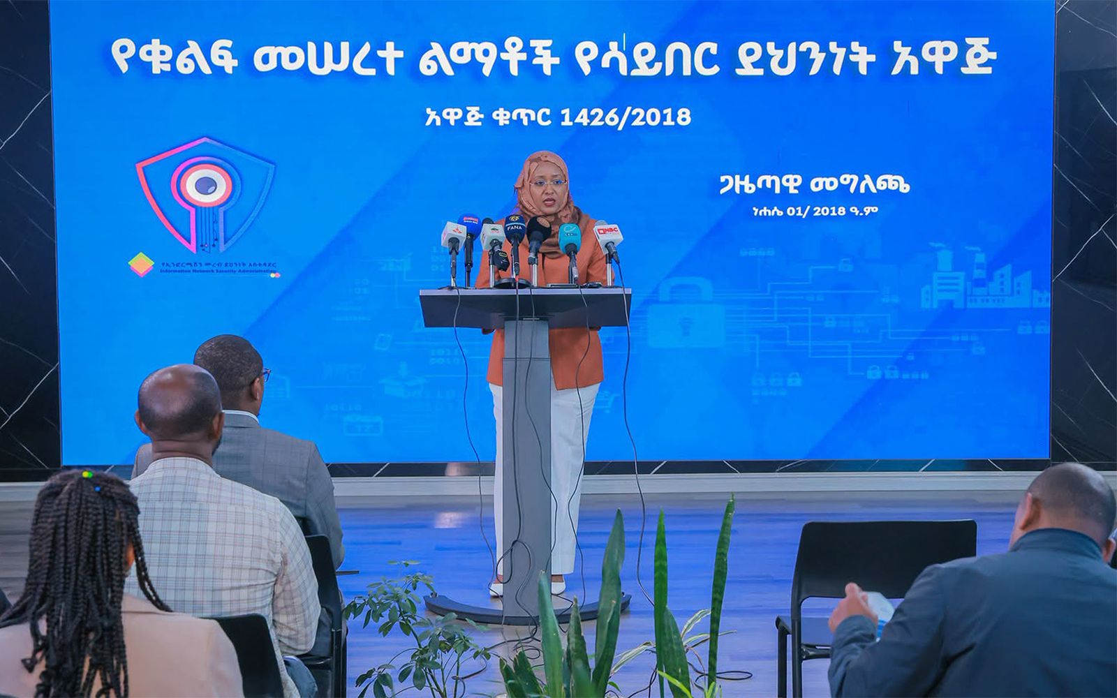 Ethiopia's New Cybersecurity Law: What Banks, Hospitals and Power Companies Now Have to Do