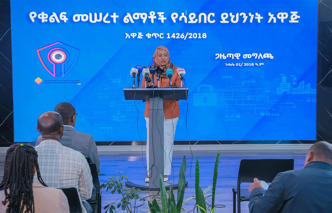 Ethiopia's New Cybersecurity Law: What Banks, Hospitals and Power Companies Now Have to Do