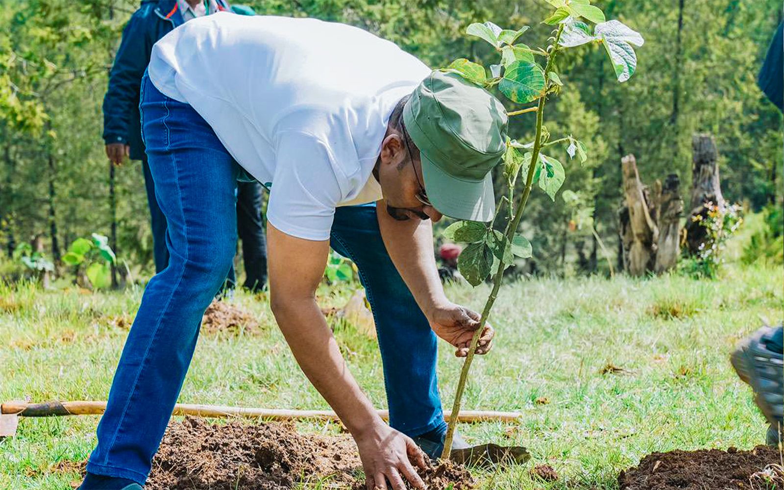 Ethiopia is planting 8 trees for every person on earth before it hosts the Global Climate Summit