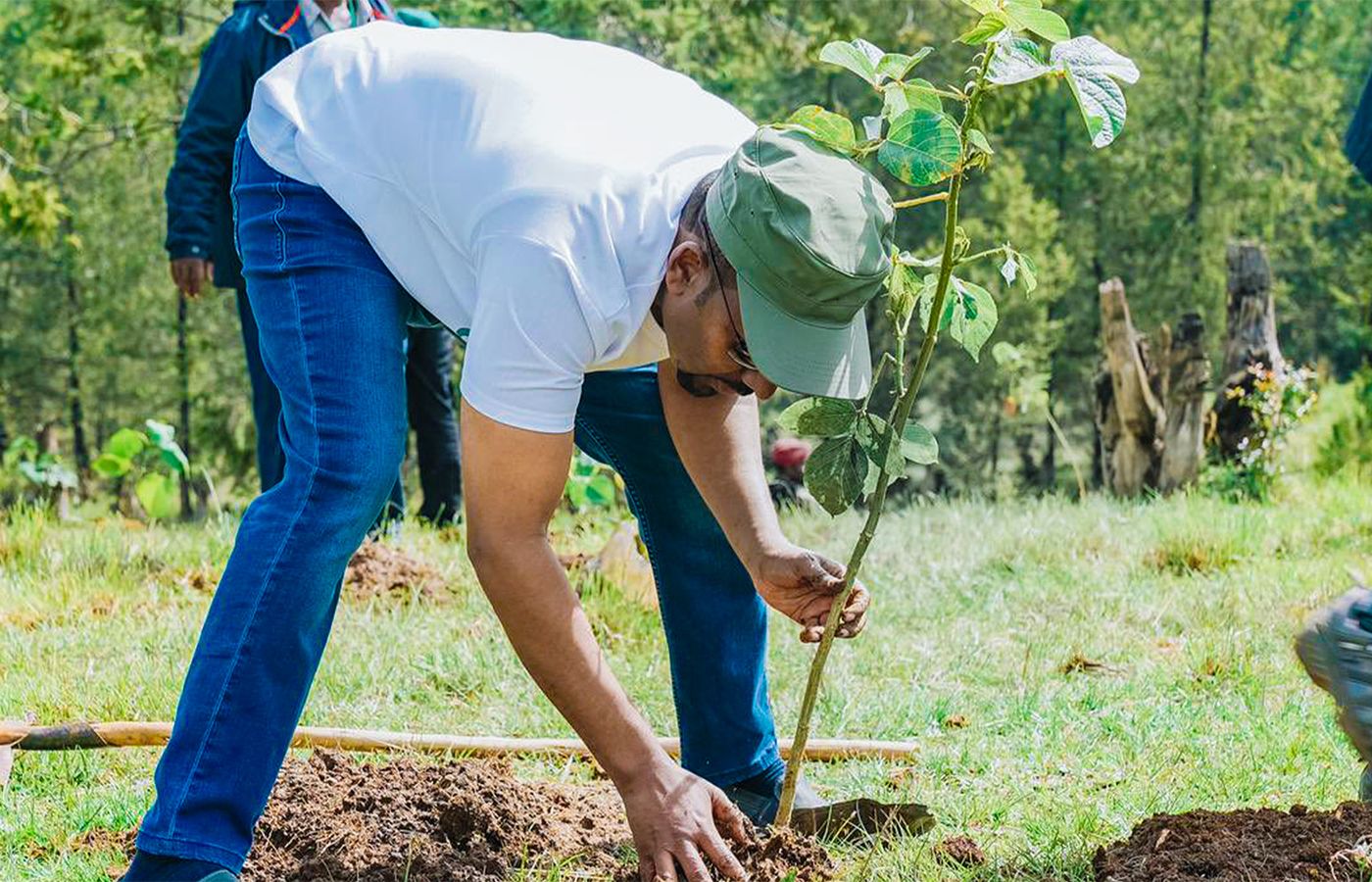 Ethiopia is planting 8 trees for every person on earth before it hosts the Global Climate Summit