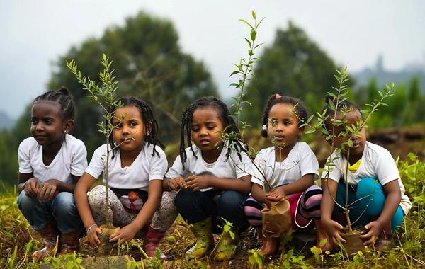 How Ethiopia Plants 800 Million Trees in a Single Day