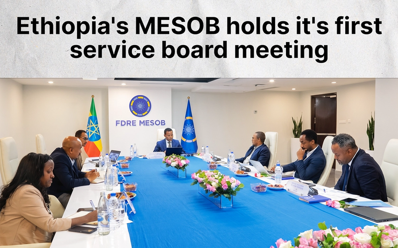 Ethiopia's MESOB, Which Now Delivers 130 Government Services From One Centre, Holds Its First Board Meeting
