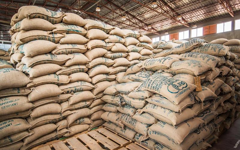 Bags of Ethiopian coffee beans ready for export
