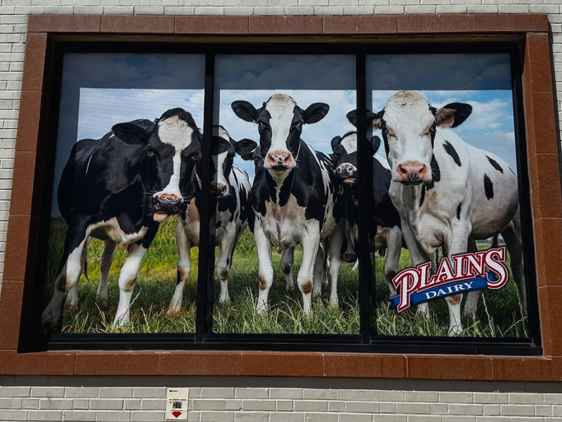 Window Perforation and Frost - Gallery image 6