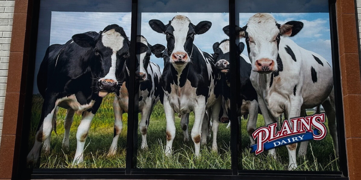 Window Perforation and Frost