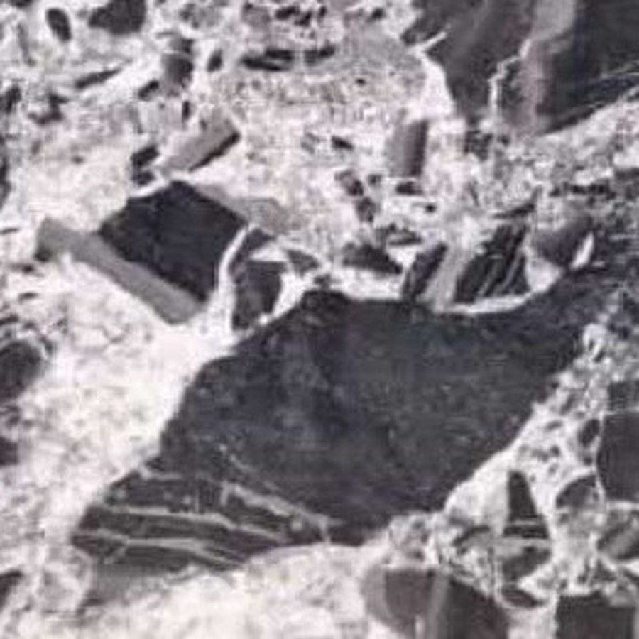 ווייט רושה