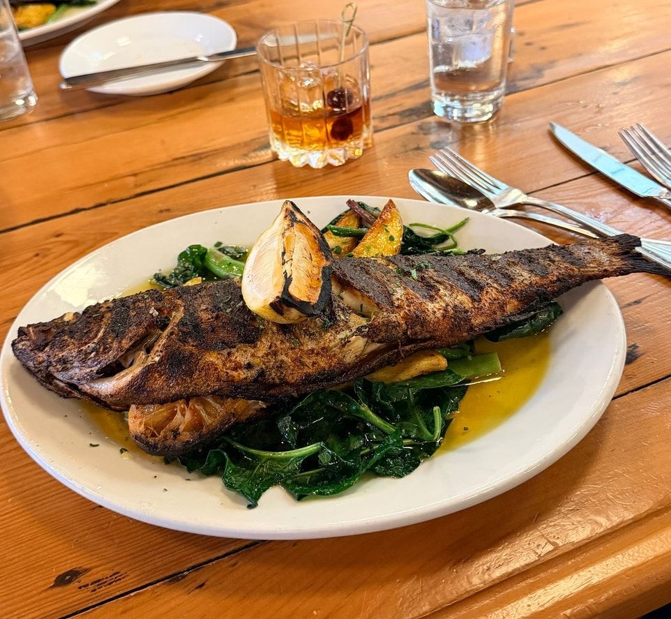 Grilled fish served over greens