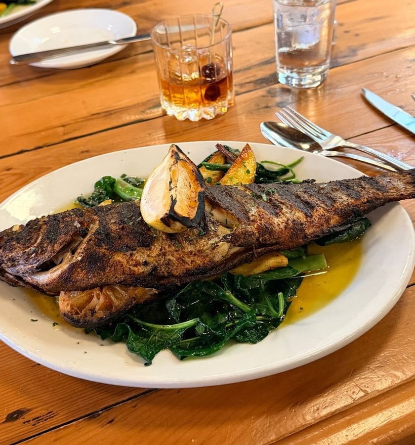 Grilled fish served over greens