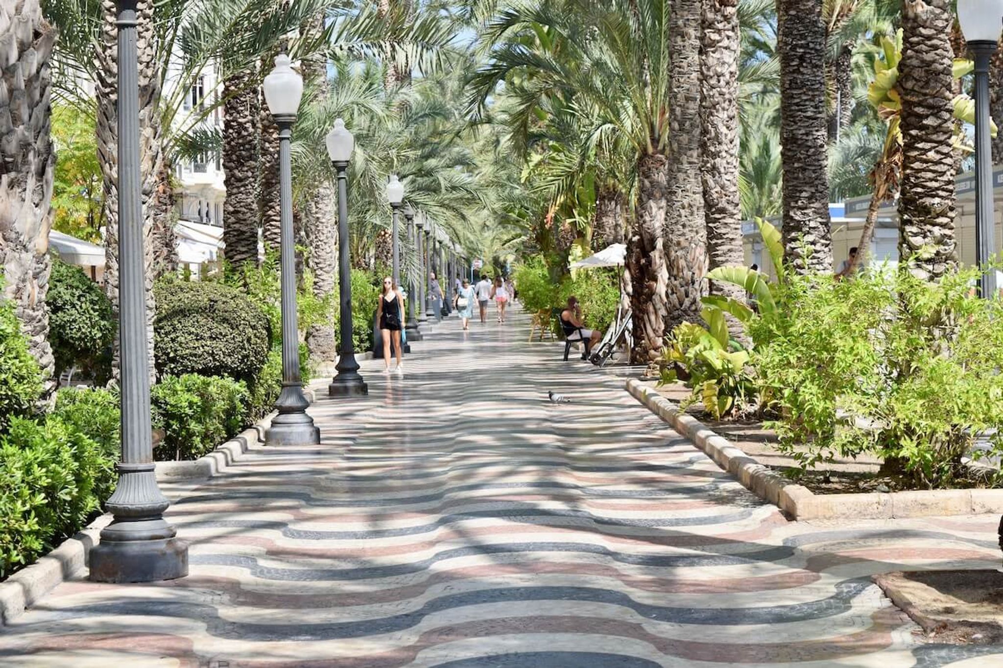 Best Hotels in Alicante