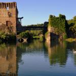 Swan, The Needle, Middle Ages, Borghetto sul Mincio