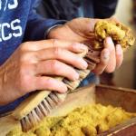 International White Truffle Fair in Alba