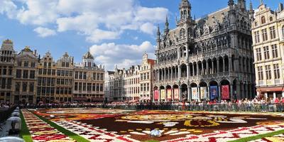 Flower Carpet Festival in Brussels