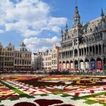 Blumenteppichfest in Brüssel