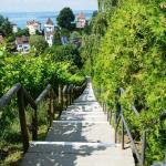 Bodensee-Weinfest in Meersburg