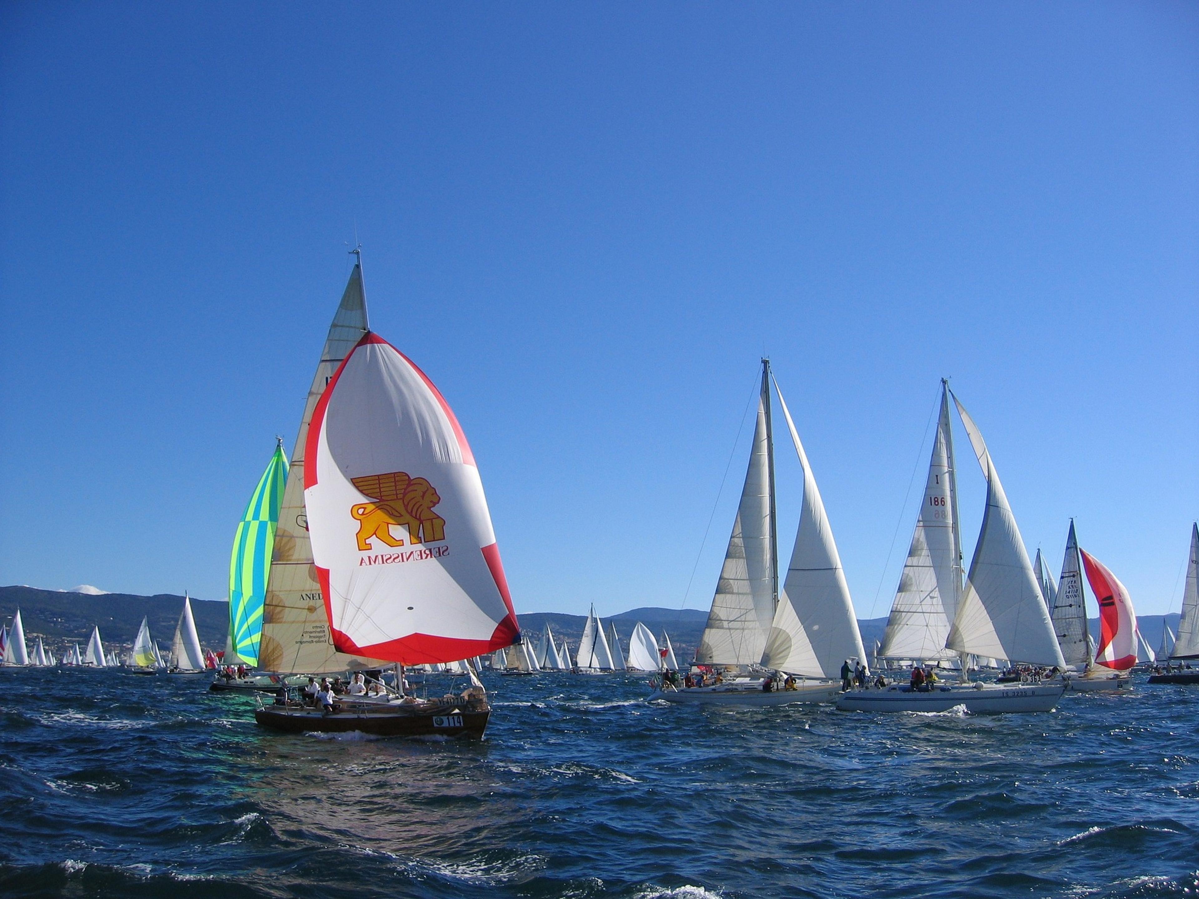 Barcolana regatta of Trieste 
