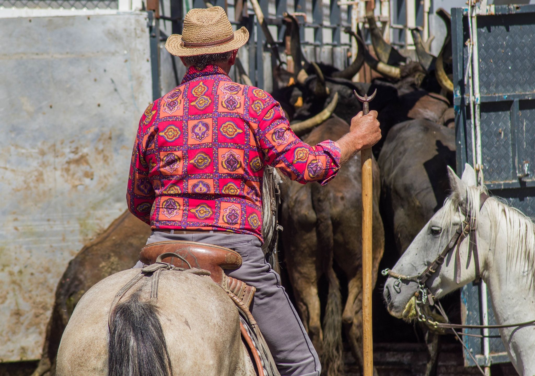 Entrada de Toros y Caballos in Segorbe 