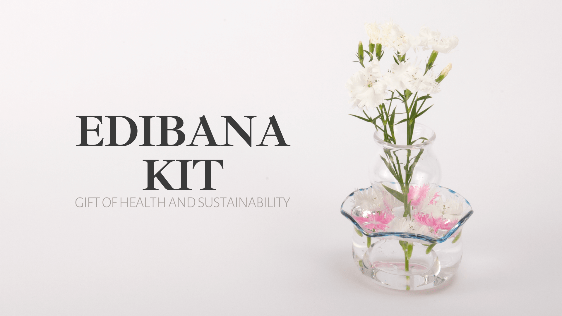 Image with a clear glass vase holding white flowers on the right-hand side, and large text reading ‘Edibana Kit. Gift of health and sustainability’ on the left.