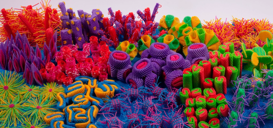 A photograph of brightly coloured, tightly packed shapes, made from what looks like plastic, and which resemble flowers or marine flora.