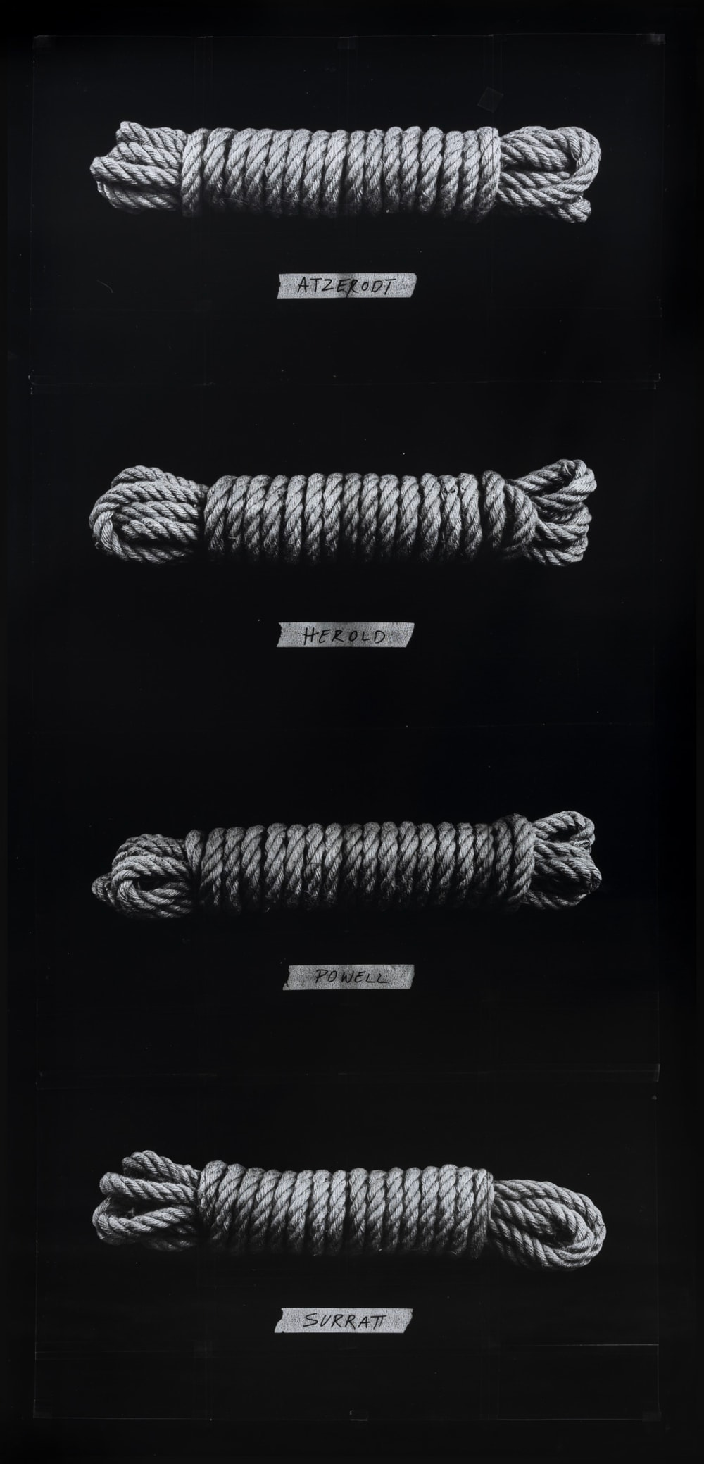 Black and white image of four ropes all knotted in the same storage knot, displayed on top of each other, each with a small handwritten label below.