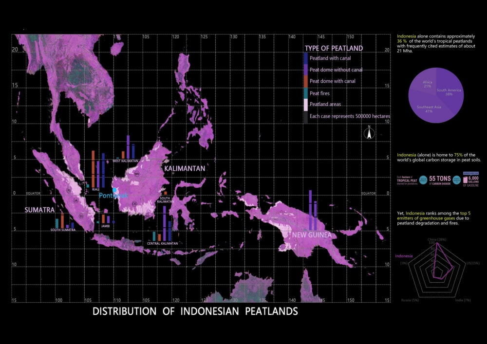 Graphic featuring a map of islands with a grid, a bar chart and a pie chart and written information, in pink and purple on a black background and text reading ‘Distribution of Indonesian Peatlands’.