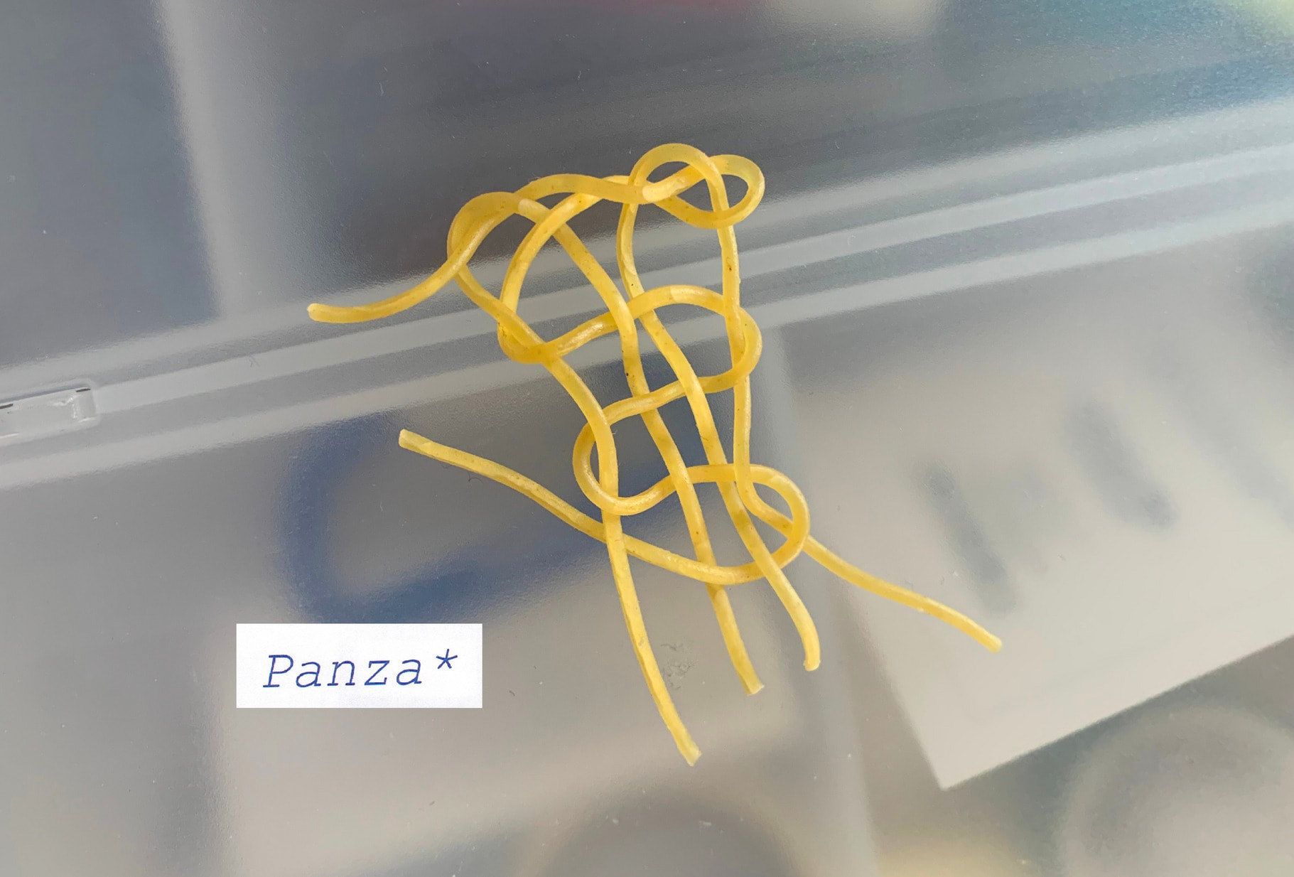 Image of spaghetti-like yellow plastic or rubber string knotted into an intricate shape, over an indistinct background. A small box of text reads ‘Panza’.