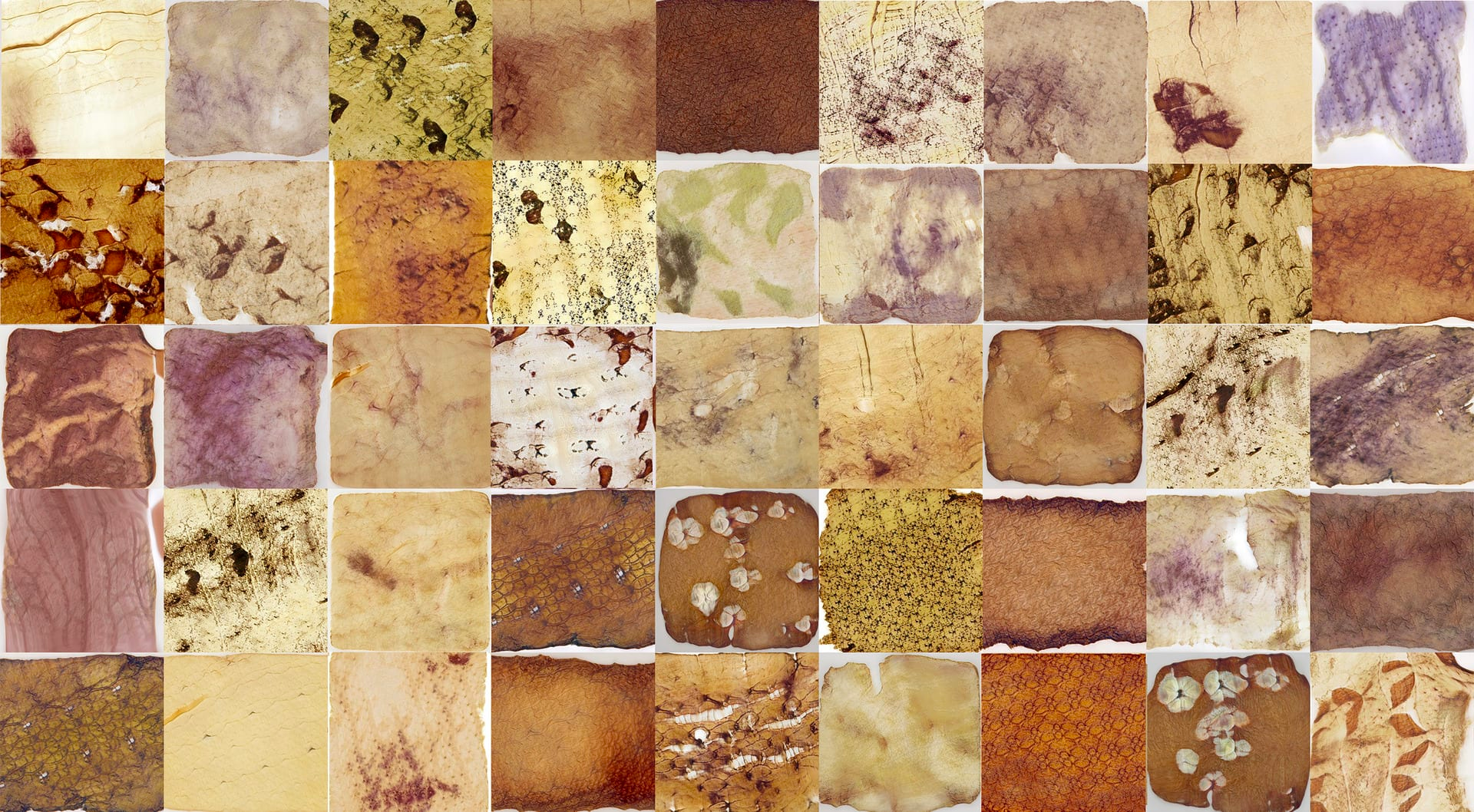 Image of 45 smaller square images, mostly in shades of brown, arranged in five rows of nine.