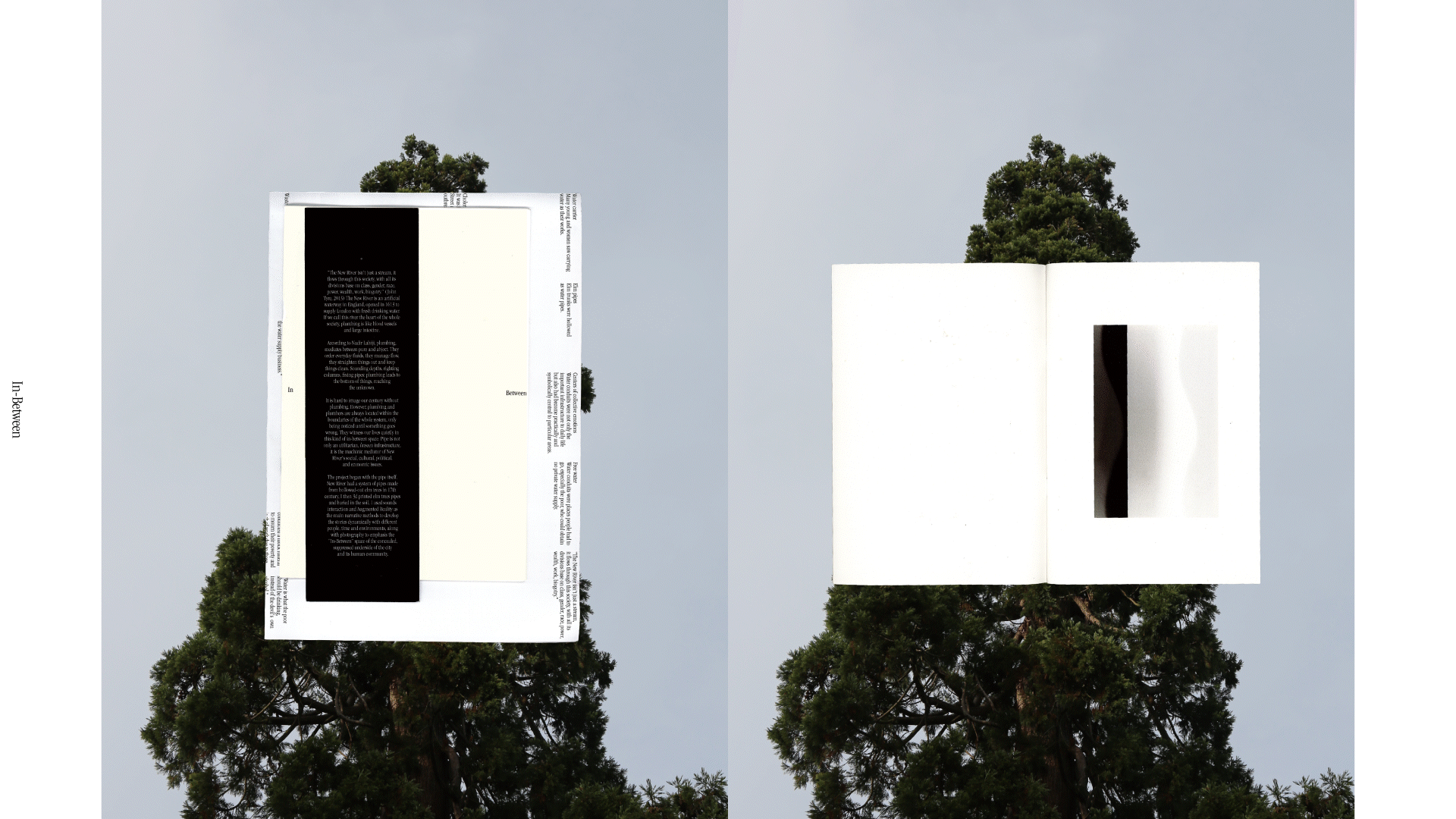 Two images featuring the same photograph of a treetop, with slightly different coloured sky background, with pages like an open book, over the middle of each.