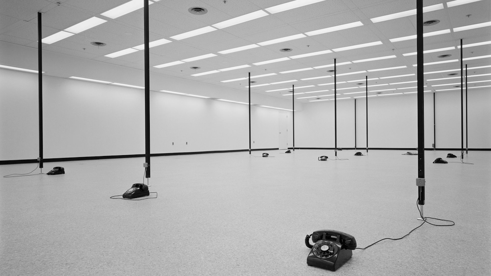 A photograph of a large white, windowless space, empty except for numerous black, old-fashioned telephones spaced out across the floor, attached to black poles up to the ceiling.