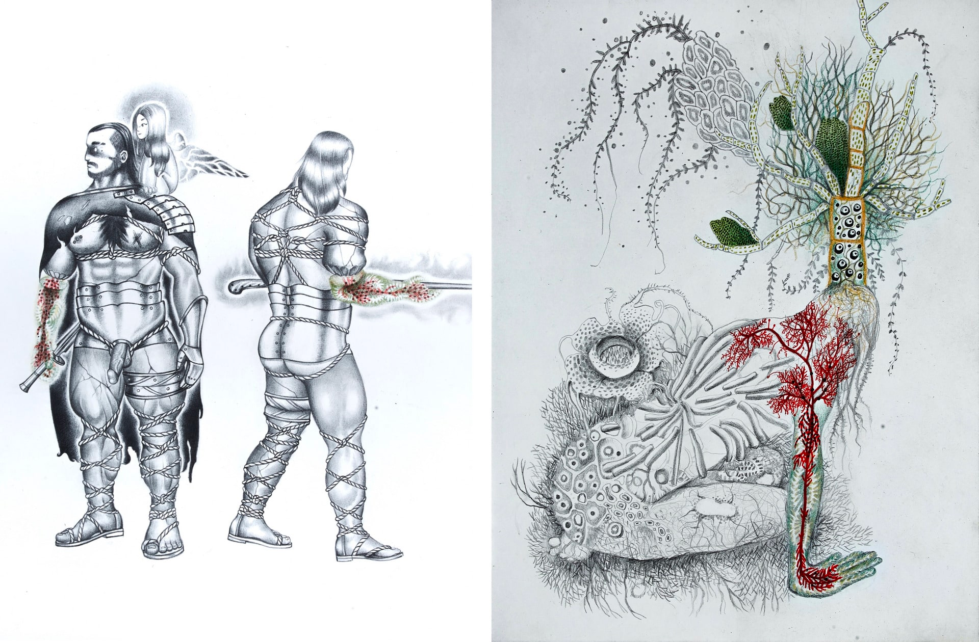 Two images side by side. One of two men in body armour and capes and the other of a woman kneeling on the ground, facing away, with fantastical plants growing within and from her.