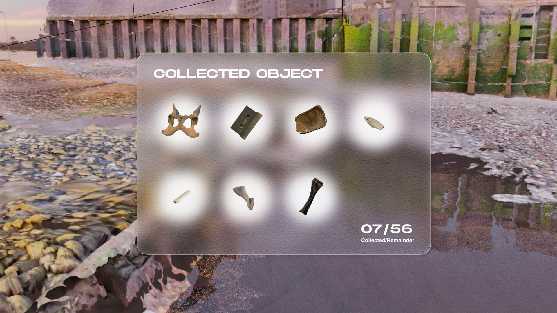 Image of what looks like a still from a computer screen, with a series of collected objects, including various bones and an audio cassette, on a background photograph of urban river foreshore. 