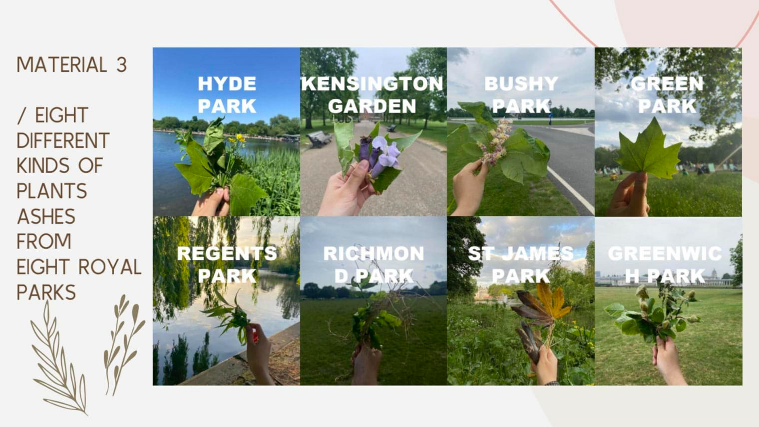 Image of eight photographs of a hand holding leaves and flowers in front of the camera, with white text stating the name of a park, and further text to the left of the photographs.