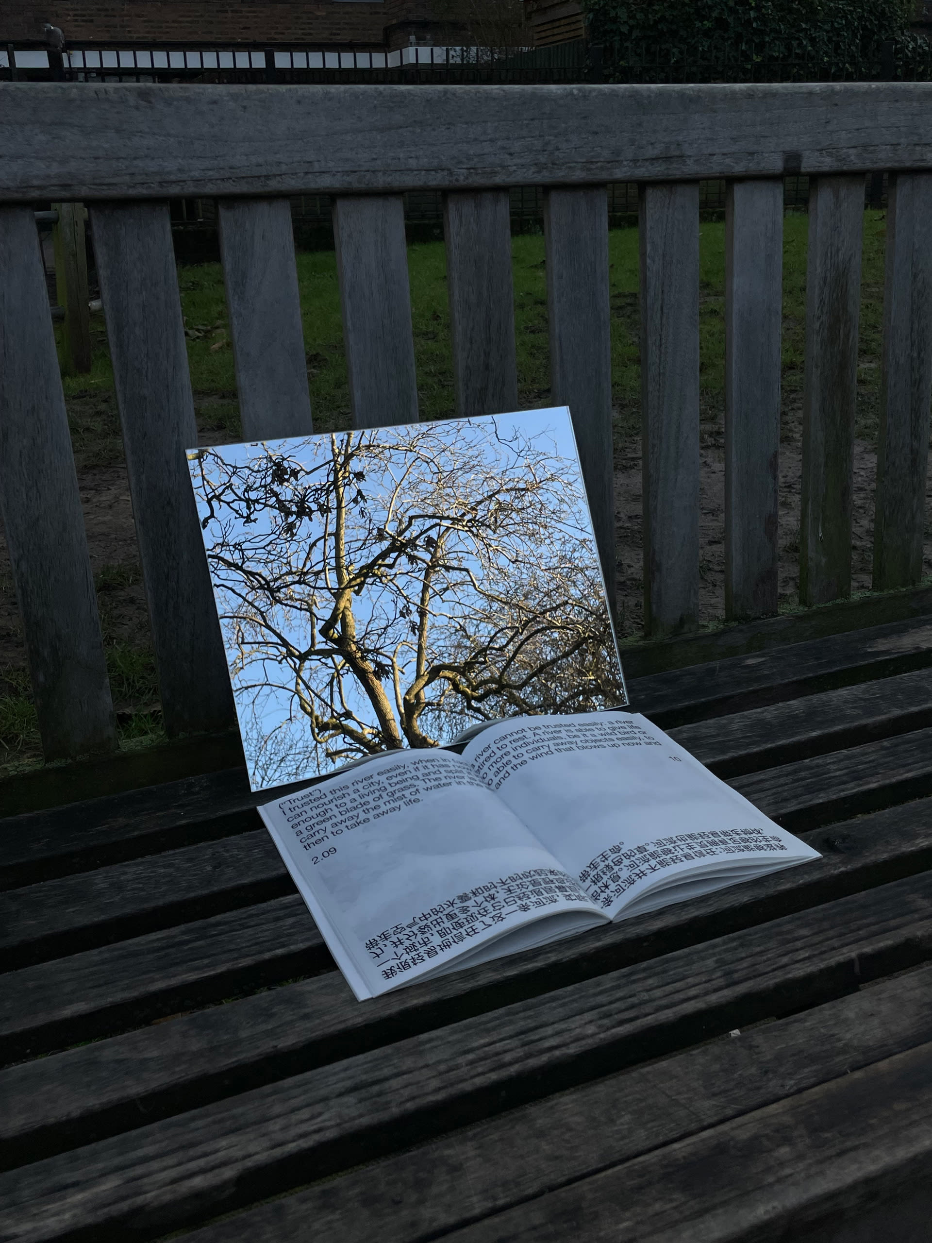 A photograph of a wooden bench at an angle, with a rectangular mirror leaning against the backrest, reflecting bare-branched trees. A book is laid open on the seat in front of the mirror.
