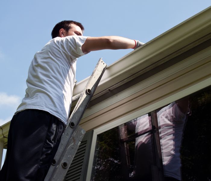 Gutter cleaning.
