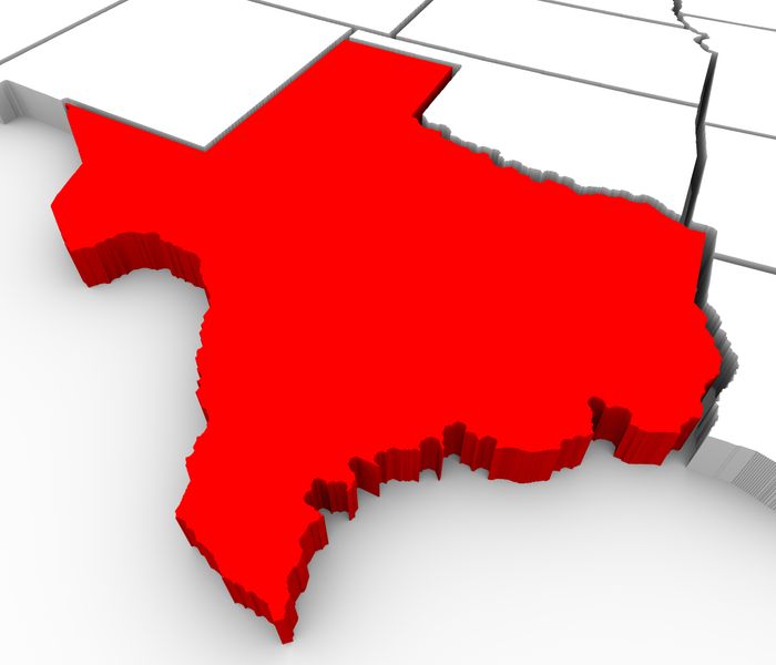3d illustration of the State of Texas