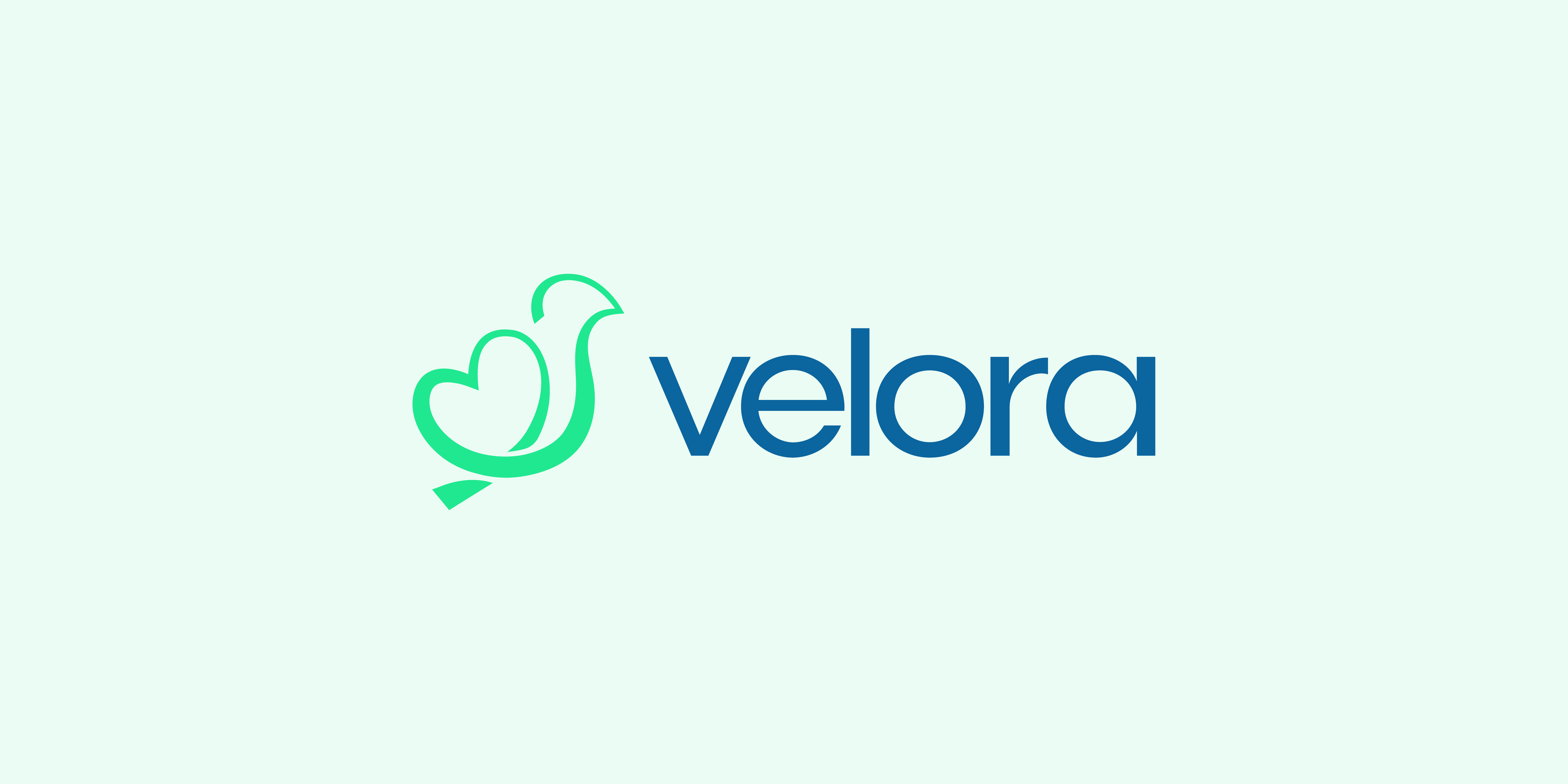 Velora Brand iidentity  detail 7
