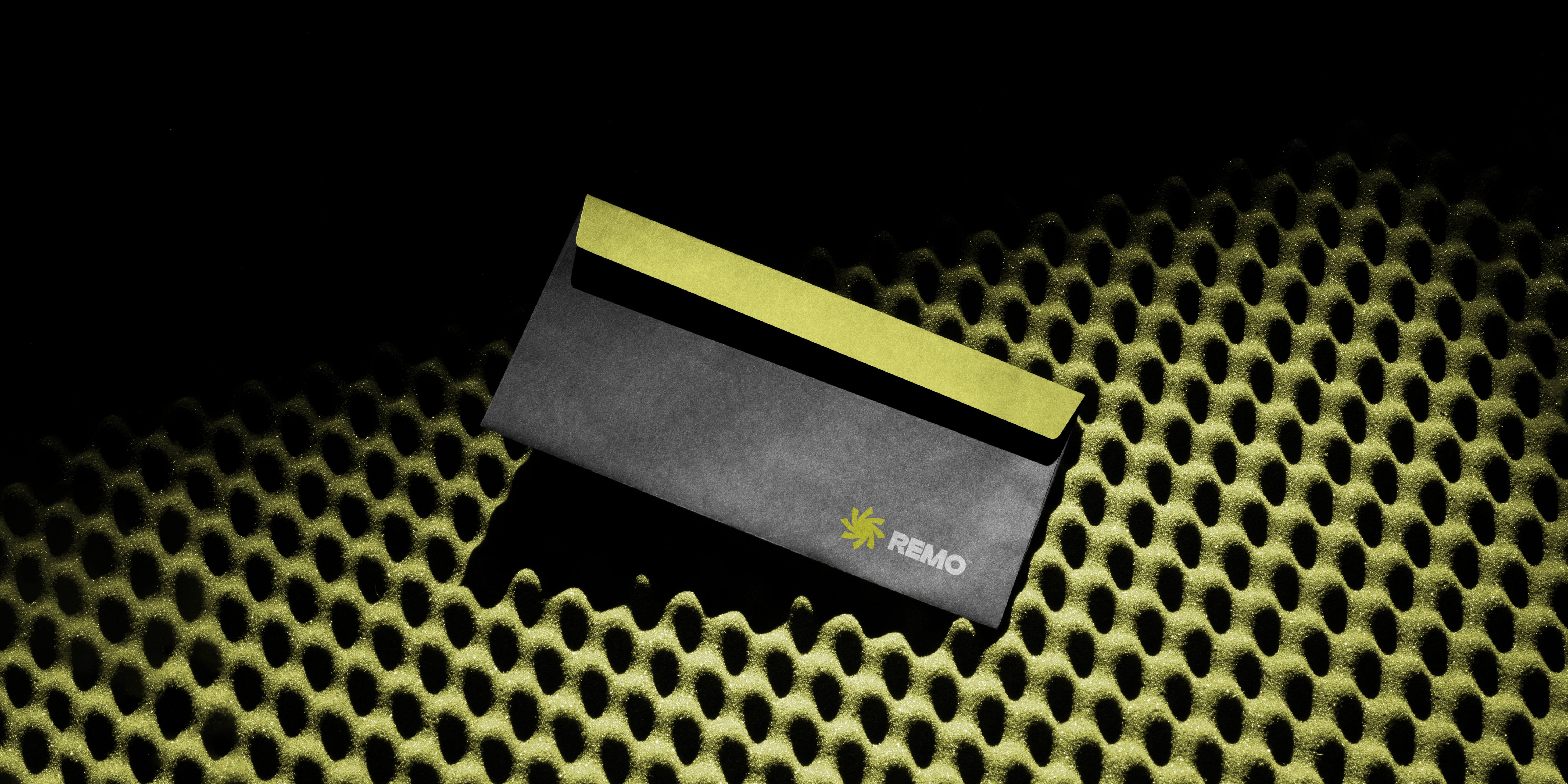 Remo Logo and Visual identity