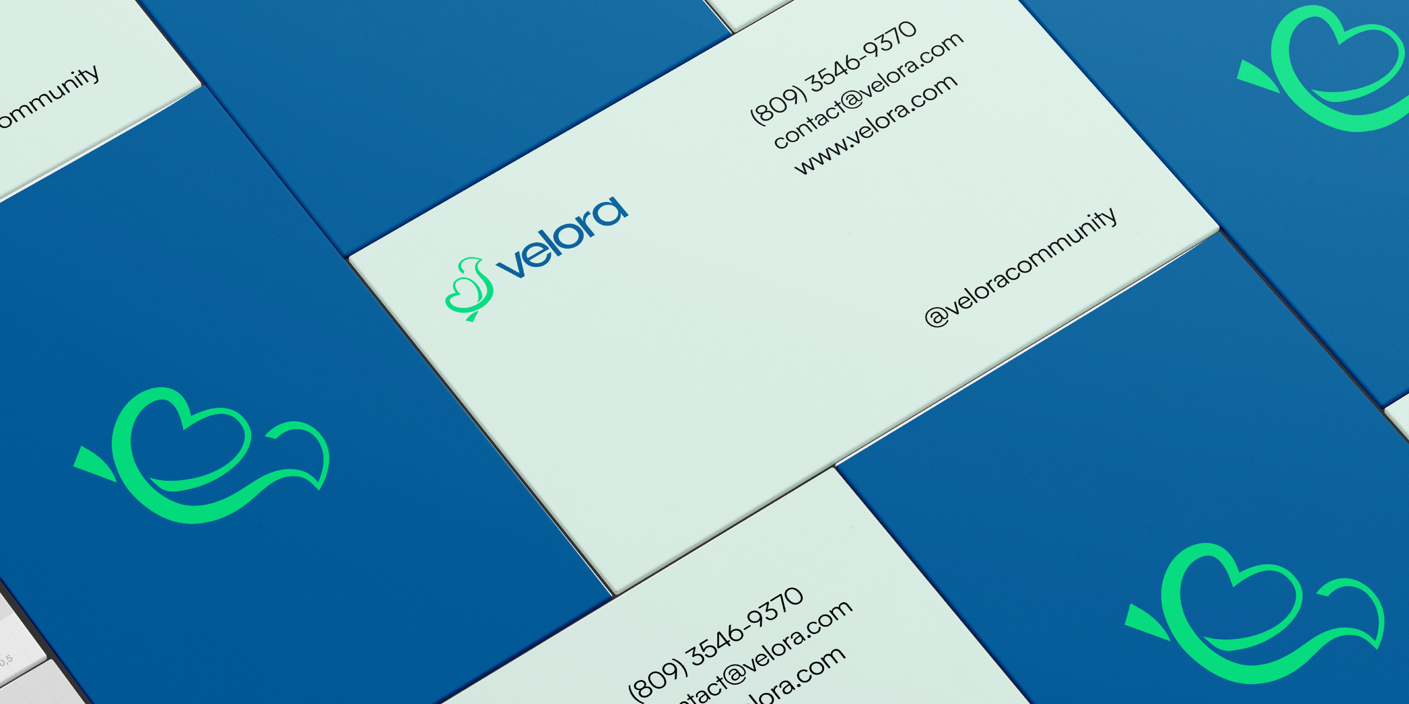 Velora Brand iidentity  detail 42