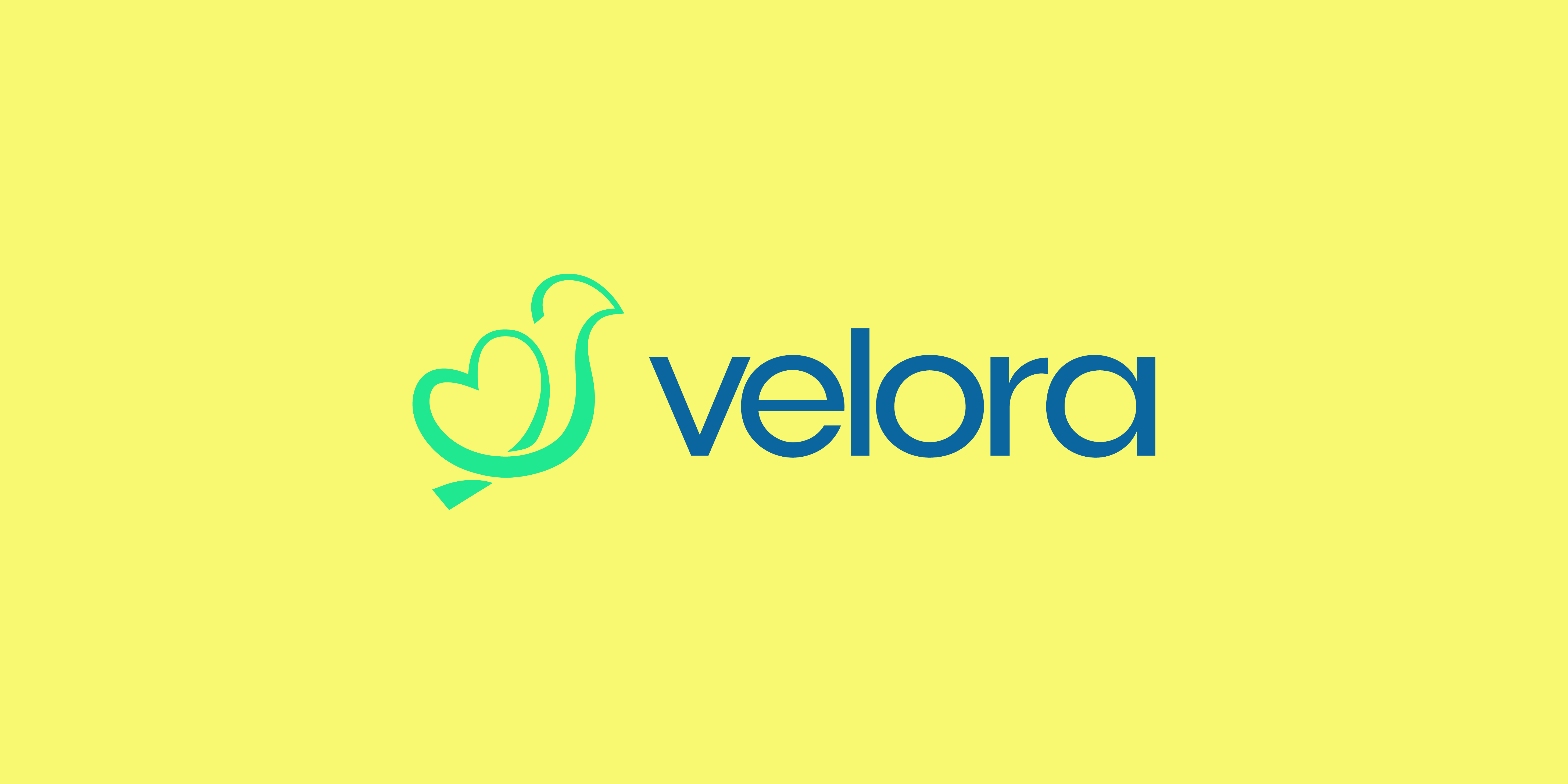 Velora Brand iidentity  detail 34