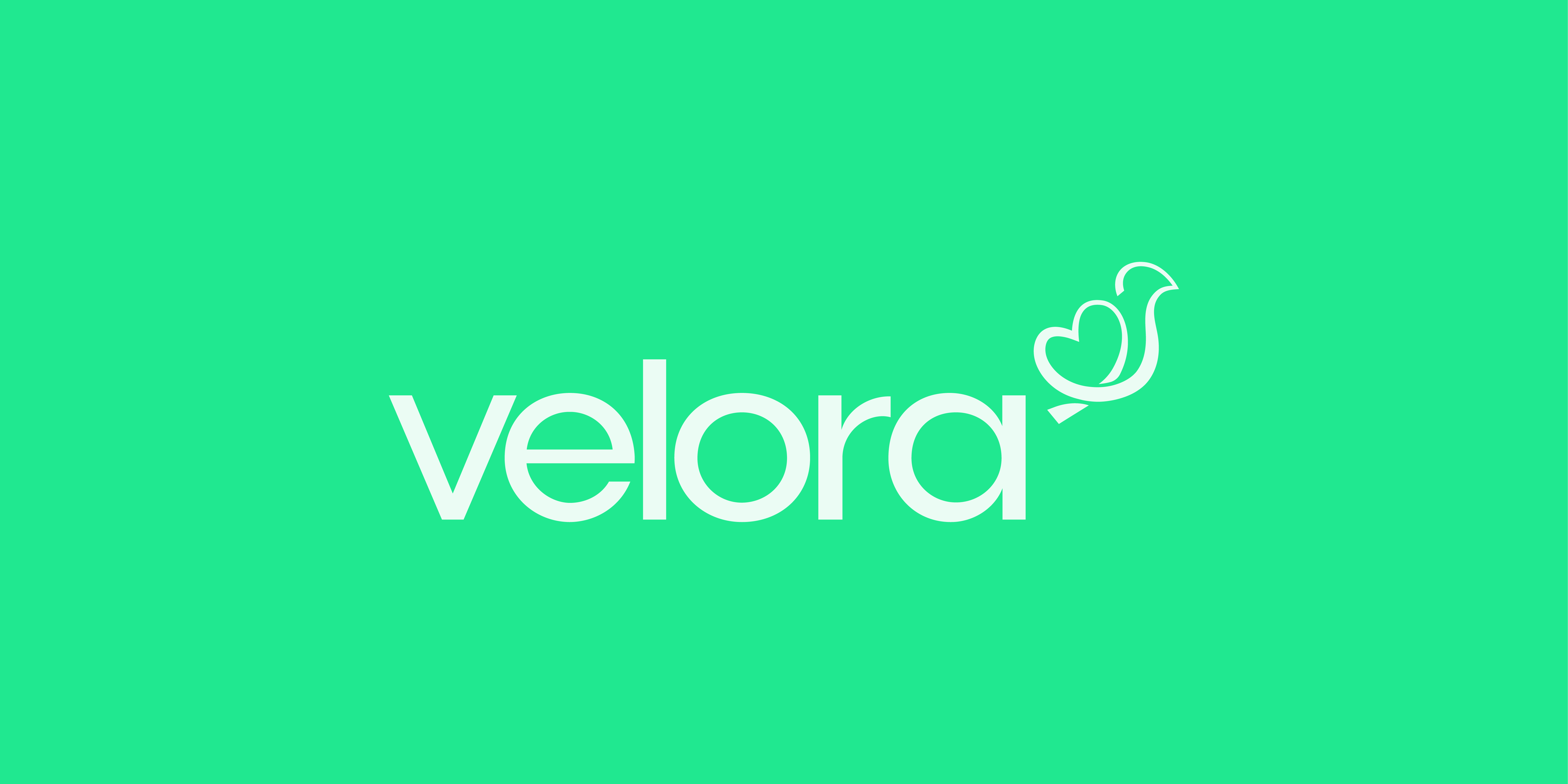 Velora Brand iidentity  detail 13