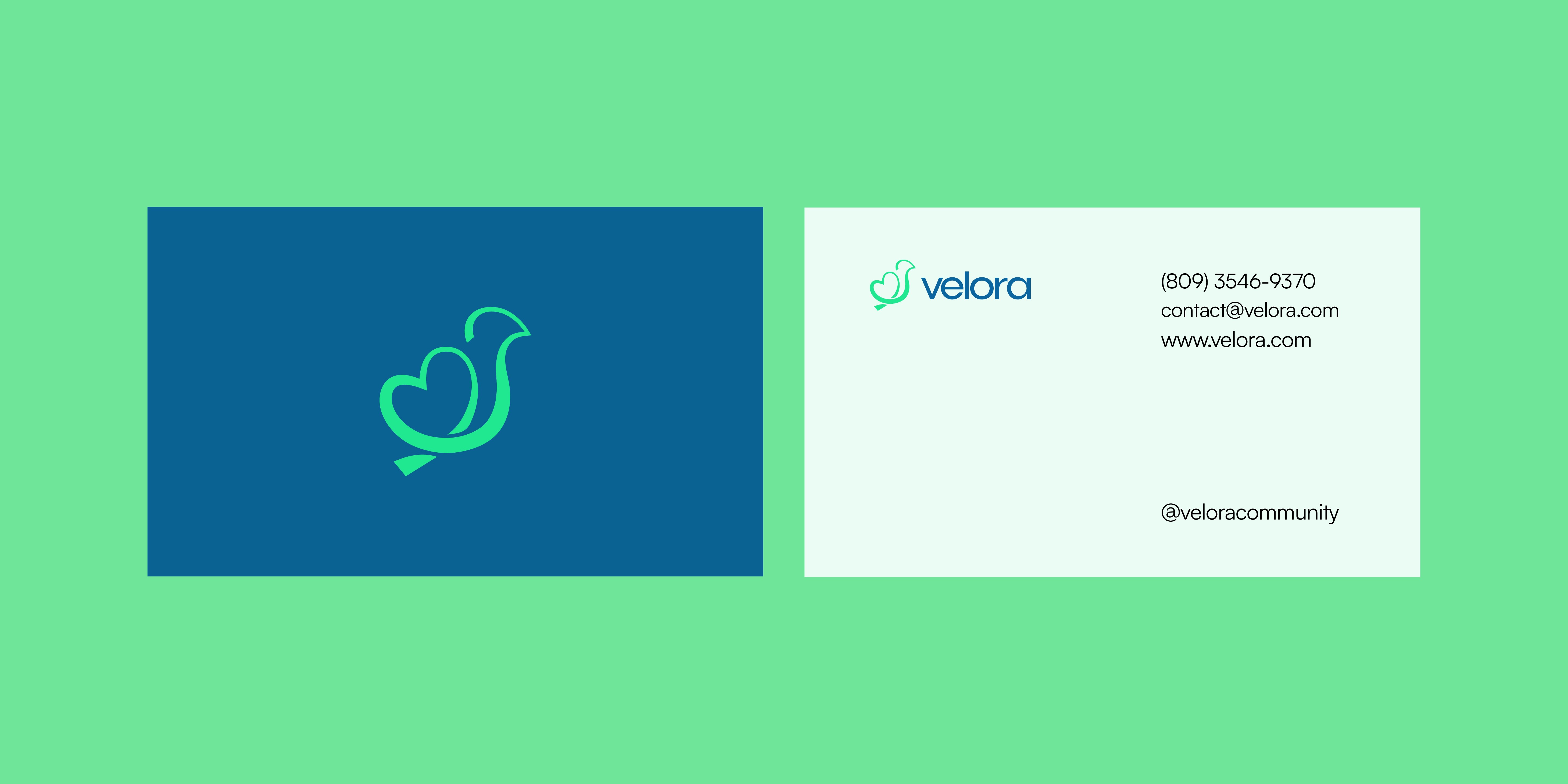 Velora Brand iidentity  detail 39