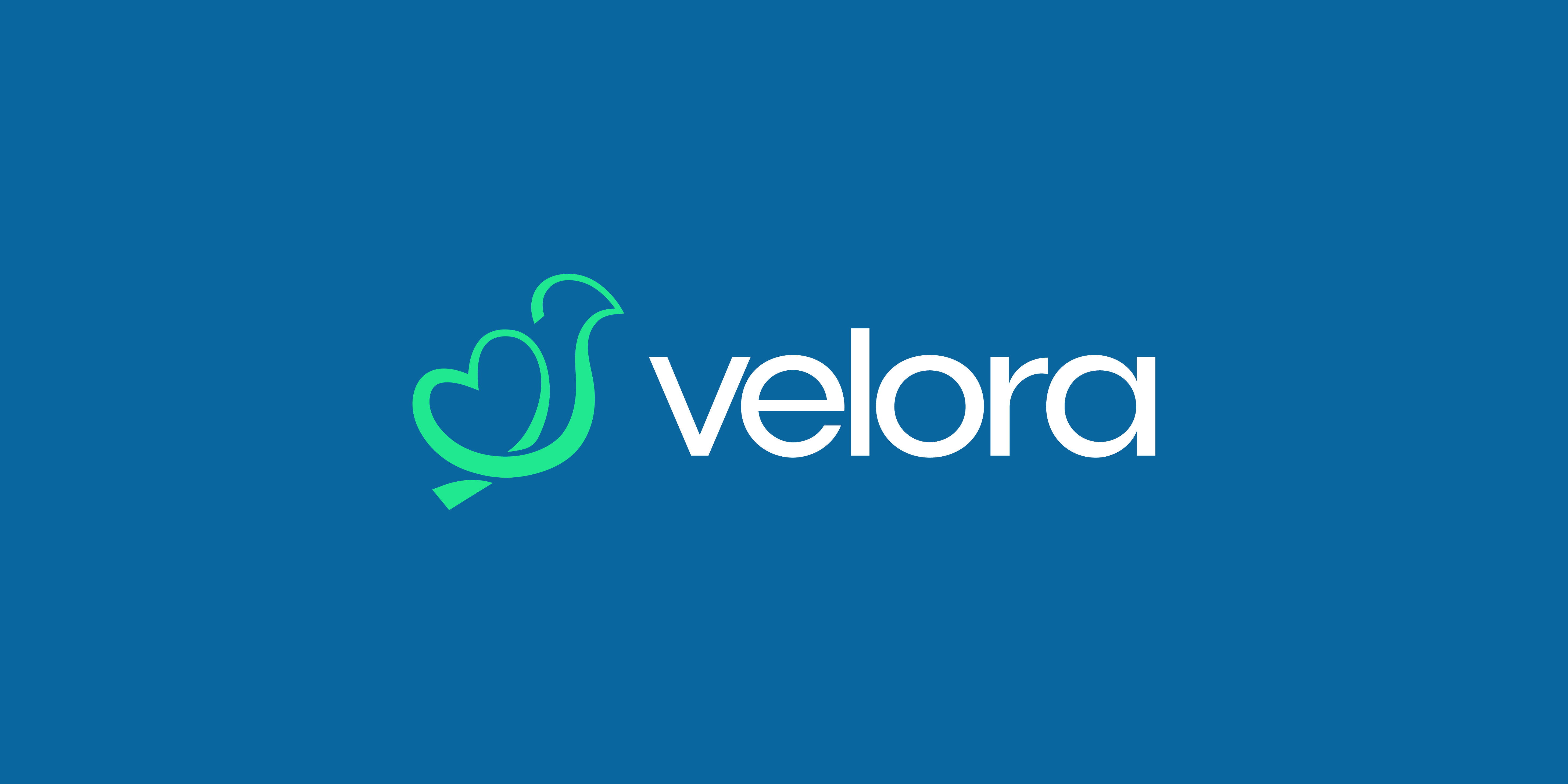 Velora Brand iidentity  detail 1
