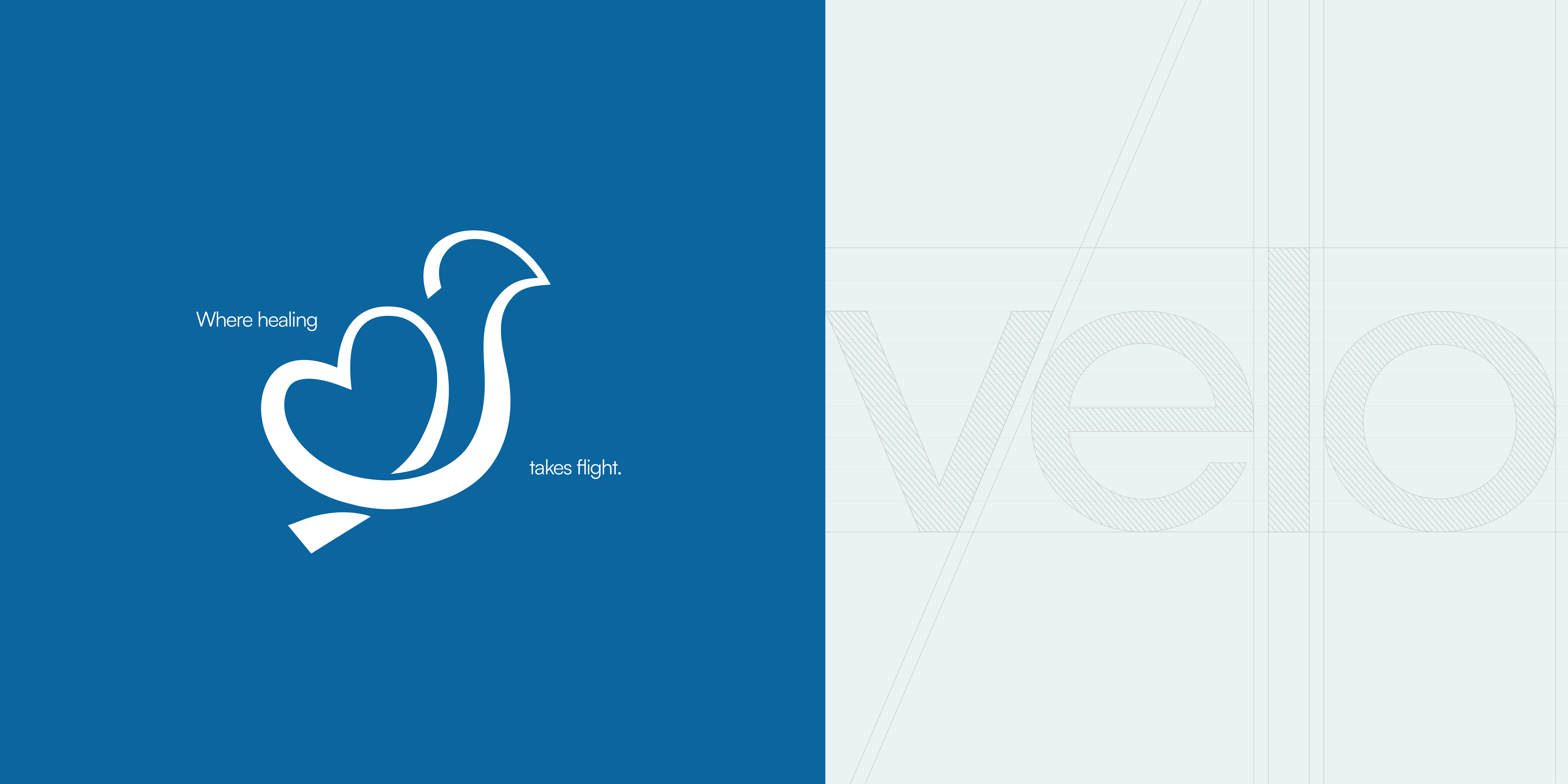 Velora Brand iidentity  detail 28