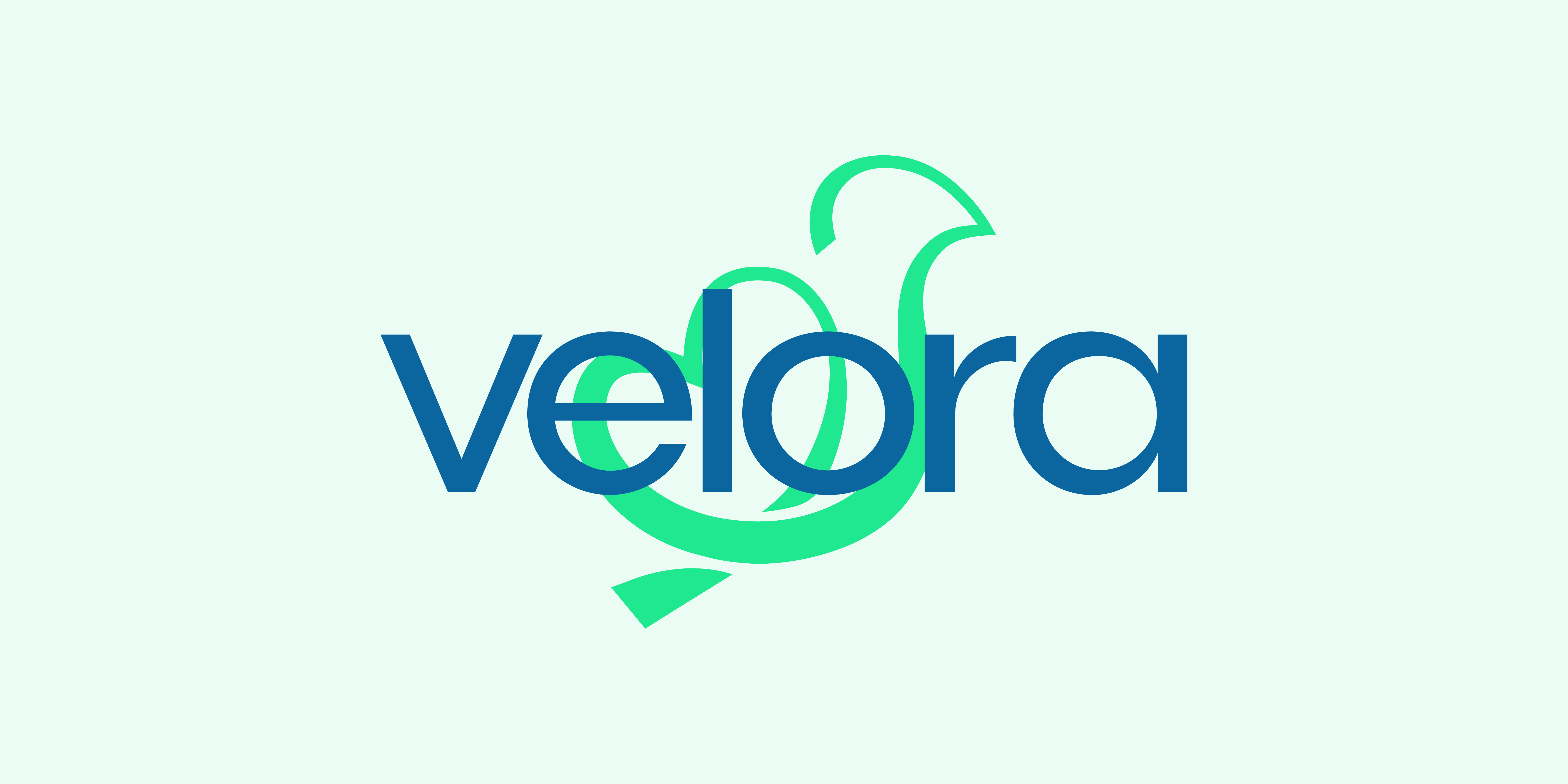 Velora Brand iidentity  detail 14