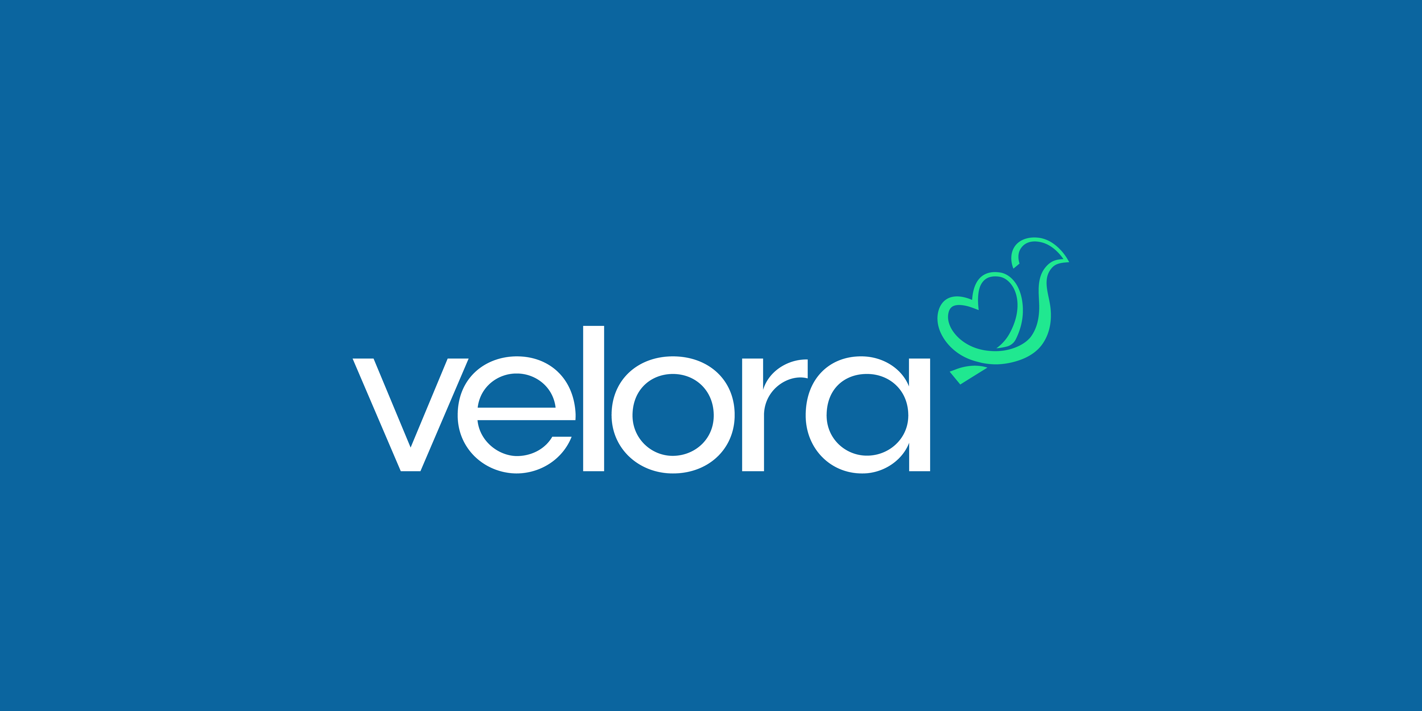 Velora Brand iidentity  detail 12