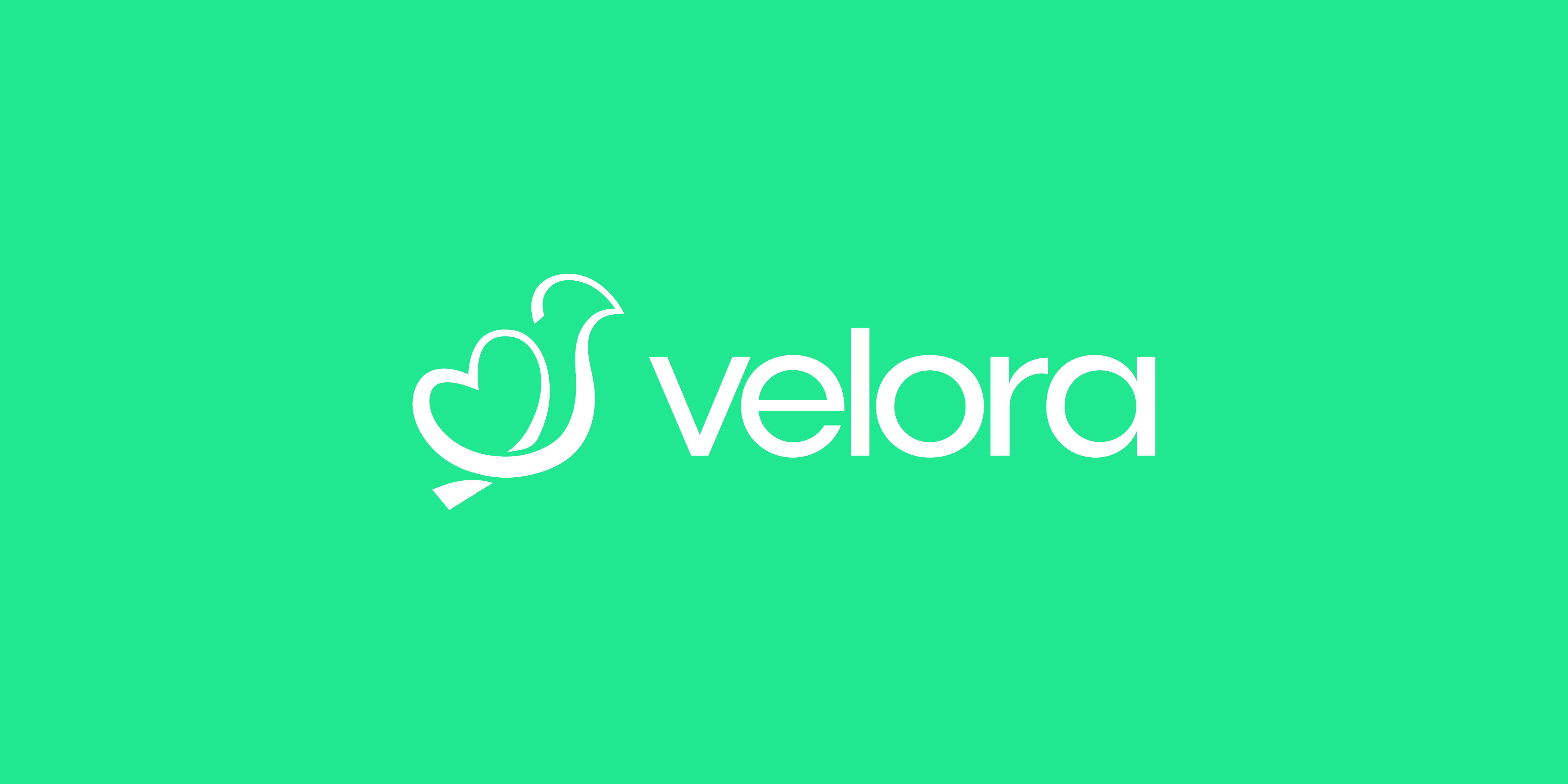 Velora Brand iidentity  detail 3