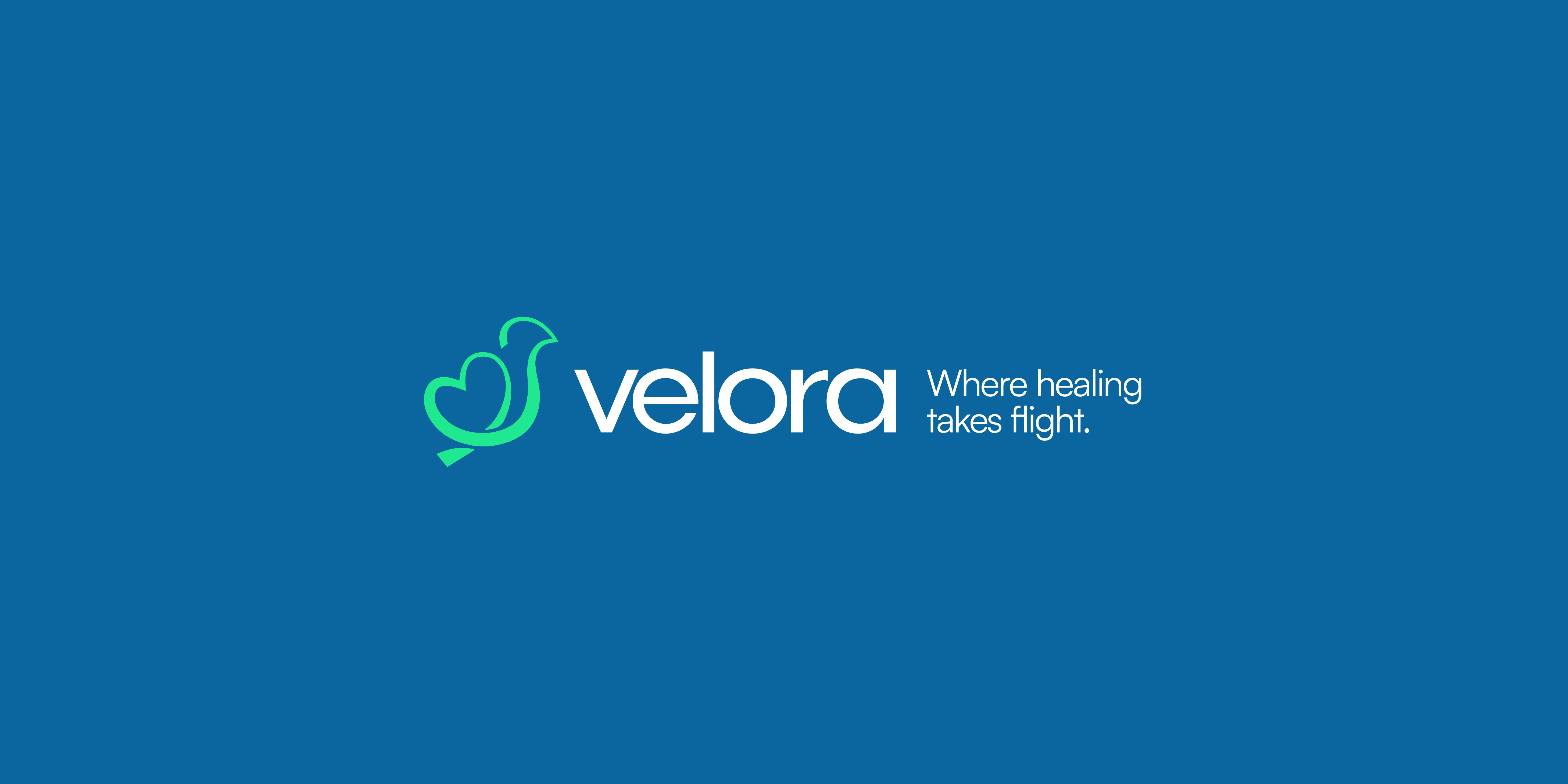 Velora Brand iidentity  detail 18