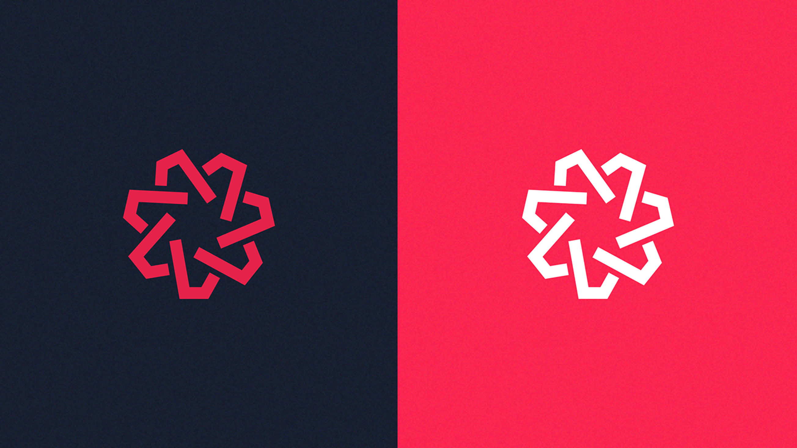 Volto Visual identity detail 5