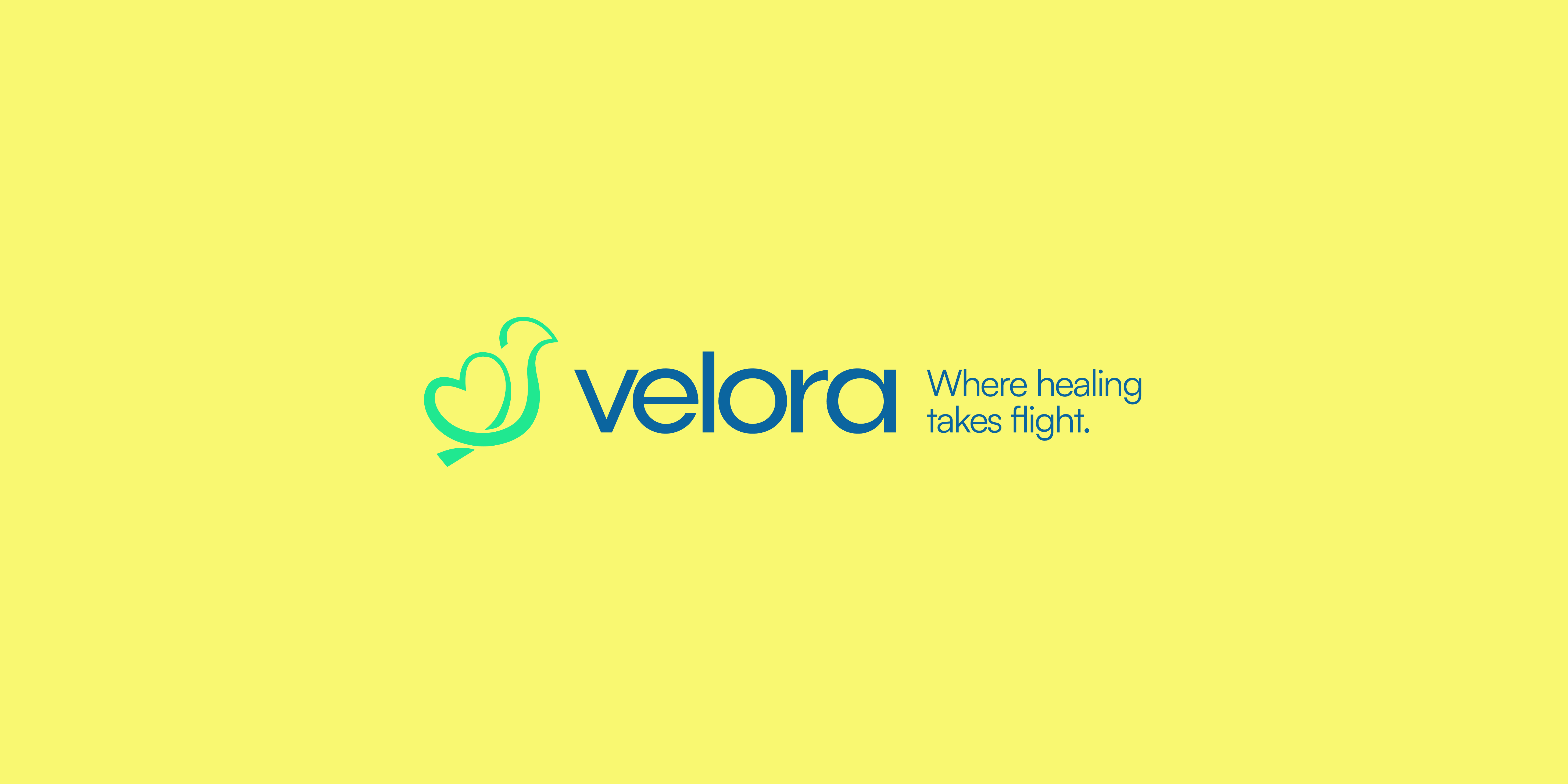 Velora Brand iidentity  detail 19