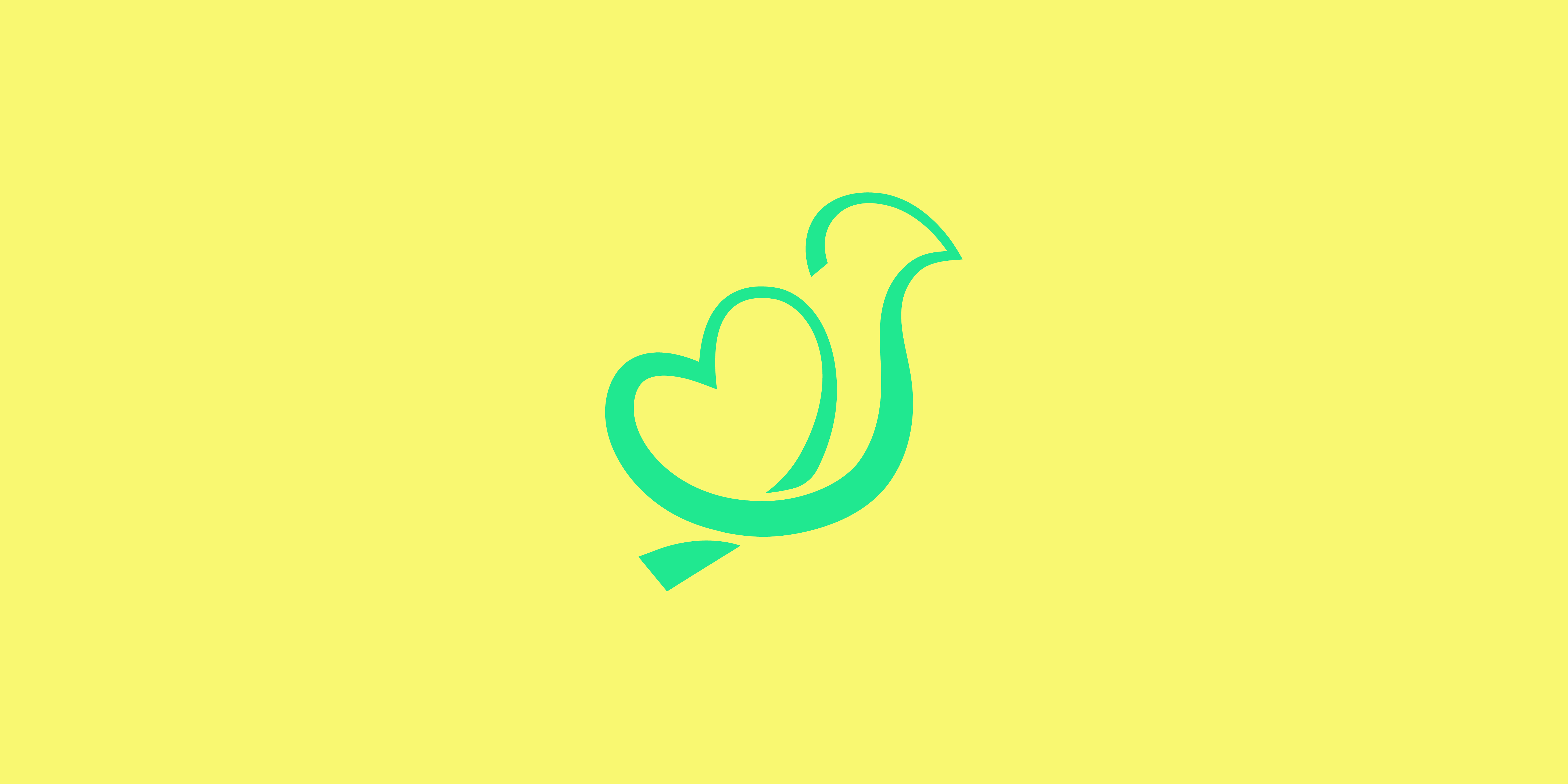 Velora Brand iidentity  detail 9